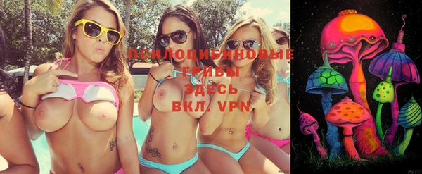 хмурый Алексеевка