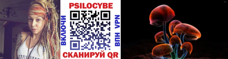 дарнет шоп  Пласт  Галлюциногенные грибы Cubensis 